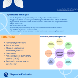 Acute Pulmonary Edema (ARucker, TZhang)