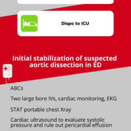 Aortic Dissection (Gilmore, Zhang)