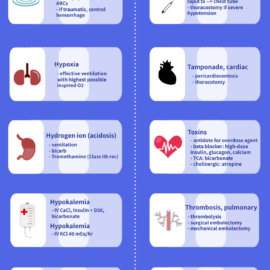 Reversible Causes of Cardiac Arrest(Yoshioka, Cherney)